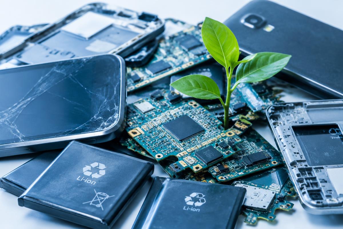 Celulares, placas e baterias para reciclagem com uma pequena planta